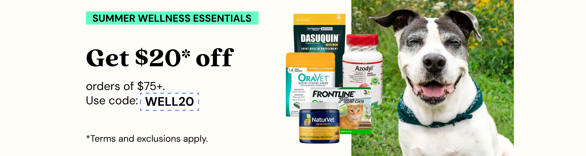 Promotions - Deals